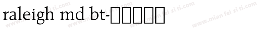 raleigh md bt字体转换